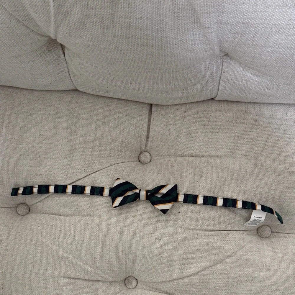 Janie and Jack Green, Gold, and Black Striped Bow Tie